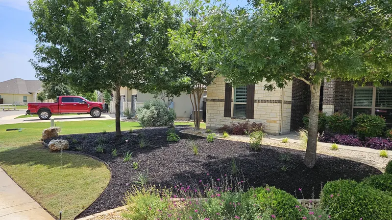Fresh mulch beds around mature trees in Spring Branch, TX by CJK Landscaping